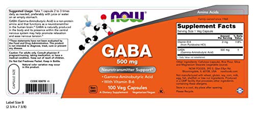 Now Foods, GABA,500 mg, 100 Veg Caps