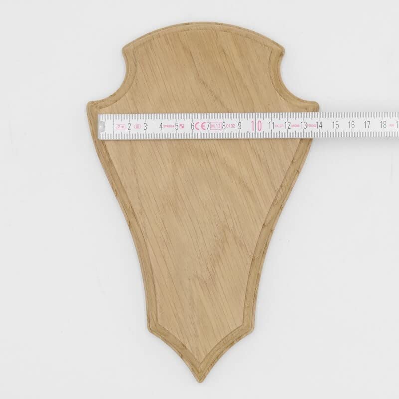 REH - Placas de trofeos (5 unidades, 21 x 13 cm, en punta, tamaño grande, roble claro, con 1 compartimento de pino)