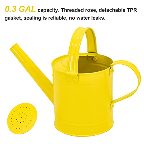 HORTICAN 0.3 Gal Galvanized Steel Watering Can Decorative Farmhouse Style Watering Can, Removable Rosette-Diffuser, Perfect for Indoor and Outdoor Use - Thumbnail 4