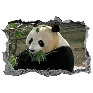 3D effect muurtattoo sticker doorbraak zelfklevende muurschildering muursticker stenen muur doorbraak muursticker tattoo…