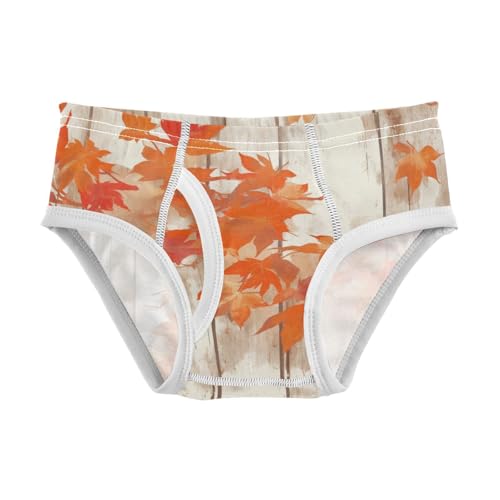 KLL Autumn Leaf on Old White Wooden Baby Boys Soft Training Underwear Cute Undies