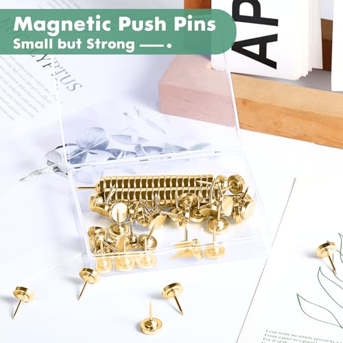 20 Sets of Magnetic Push Pins, Magnetic Thumb Tacks, Cute Flat Push Pin, Gold Push Pins for Bulletin Board, Magnetic Pins for Wall, Flat Thumb Tacks for Cork Board image 2