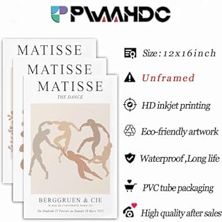 PWAAHDC Lot de 3 Tableaux Décoration Murale Salon et Chambre – Affiches Matisse, Posters et Arts Décoratifs, Toile Décoration Murale Bohème 30x40 cm