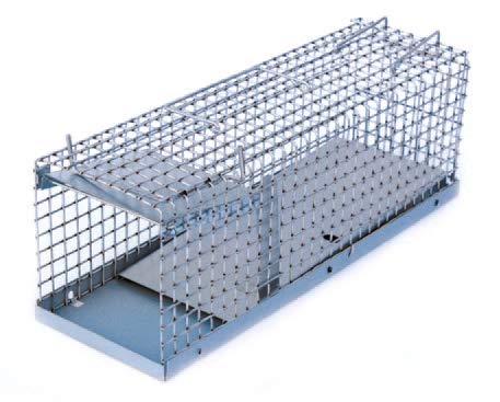 Kieferle Gitterfalle für Ratten, Wiesel und Siebenschläfer