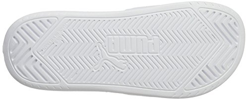 Puma Popcat