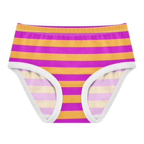 Orange Hot Pink Stripe Toddler Girls's Underwear 2T