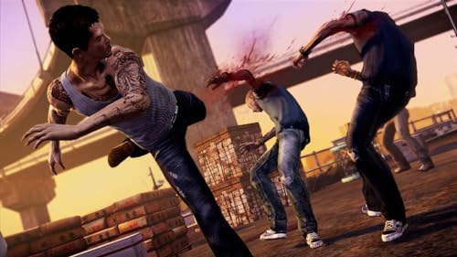 Image of Sleeping Dogs (PS3)