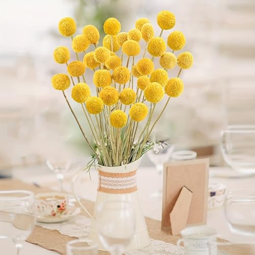Ramo de 30 flores secas Billy Balls color dorado miniatura 4