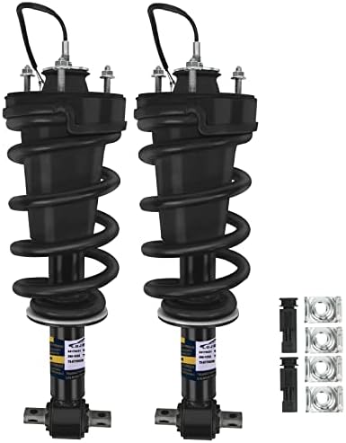 Amazon.com: ACDelco GM Original Equipment 84176631 Front Shock  