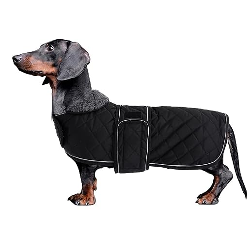 MOREZI Hundemantel Winter für Dackel - Wasserdichter Hunde Pullover mit Wolle Futter & Verstellbaren Gurten, Warmer Wintermantel für Kleine Hunde im Freien-Schwarz-M