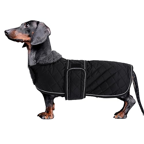 Joiedomi Bassotto Gonfiabile 1,5 Metri Con Luci LED | Decorazione Natale Per Esterno E Giardino | Cane Wiener Luminescente