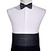 Barry.Wang Cummerbund - Juego de pajarita para hombre, diseño de pajarita de...