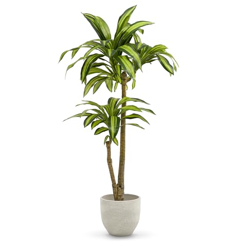 Maia Shop Plantas Artificiales Decorativas   Drácena Artificial 130 cm, Arbol Artificial, Planta Artificial Realista, Drácena Artificial, Decoración Hogar.