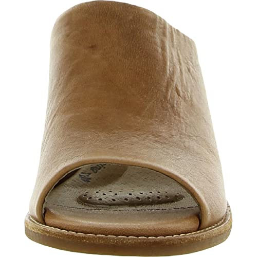 Sofft Women's Aneesa Luggage 8 B(M) US2