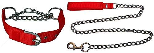 PSK PET MART Leash Chain with Collar Set for Dogs - Red with Silver Chain Size - Large (B08K7KZJJJ) Amazon Price History, Amazon Price Tracker