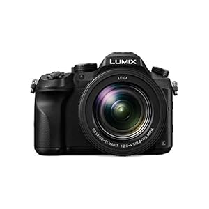 Panasonic DMC-FZ2000EG Lumix Bridge Kamera (20x Leica DC Objektiv, 20,1 MP, 4K, 7,5cm LCD-Display, Bildstabilisator…