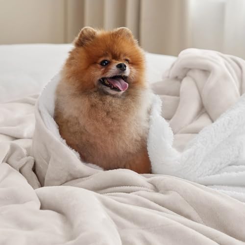 BEDSURE Kuscheldecke - Warm Sherpa Wolldecke & Sofadecke, Flauschig Sofaüberwurf Decke, Dicke Couchdecke, Fleecedecke, Flauschige Wohndecke für Couch, Beige, 150x200 cm, XL
