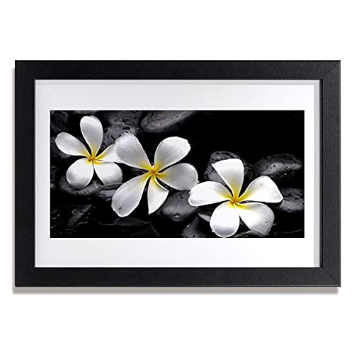 Cadre photo fleur de plumeria 30x20 cm pour ambiance zen de cuisine