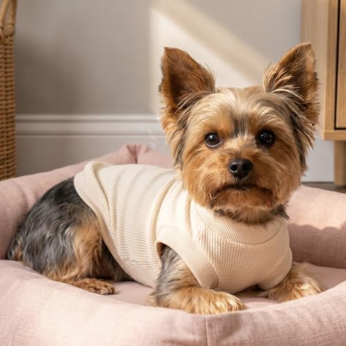Image of 1 Pack Dog Shirt for Small Supplies Functional Waffle Dog Clothes Warm Soft Sweatshirt Outfit for Dogs Cats Pet Apparel
