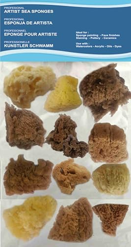 Künstler-Malschwämme, 12 Stück, für Kunst & Handwerk, Malerei, Hobby, Effekte, Keramik, Töpfern, Dekorieren, Schwämmen und bildende Kunst – feine bis grobe Textur, Größen 4,8–11,5 cm.