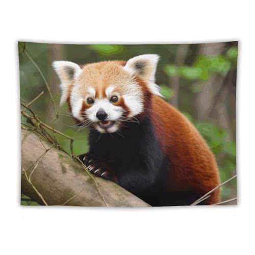 Tapisserie d'art abstrait petit panda rouge en polyester YKUDBN
