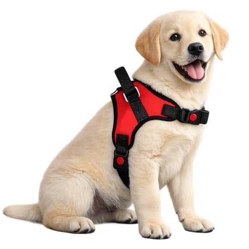 Image of No Pull Dog Body Belt | Adjustable & Soft Padded Dog Harness | Perfect for Small Breeds | for 05-13Kg Dogs - Shih Tzu, Poodle, Chihuahua (S, Red)