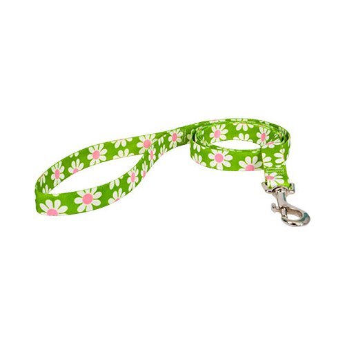 Yellow Dog Design Standard Lead, Green Daisy, 1