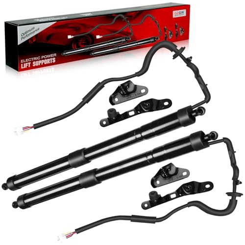GZGN 6891009010 Electric Rear Hatch Lift Struts Compatible with 2013-2018 Toyota RAV4 Liftgate Actuator 1 Pair 2Pcs Trunk Tailgate Power Shock Support 2Pcs Replacement 6892009010