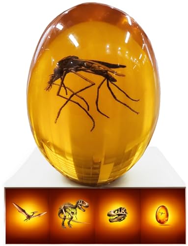 VEOJEIN Jurassic Mosquito in Amber [2D-C] Durable Resin Encased Detailed 2D Insect Replica. Perfect for Collectors and Enthusiasts | Paperweight, Aged Effect, Desk Ornament