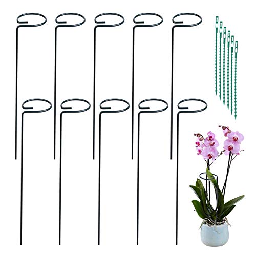 24 Packs 24 Inches Plant Support Stakes, Single Stem Plant Stake Support Rings for Tomatoes, Flowers Stakes and Supports Amaryllis Stakes with 40pcs Plant Sticks