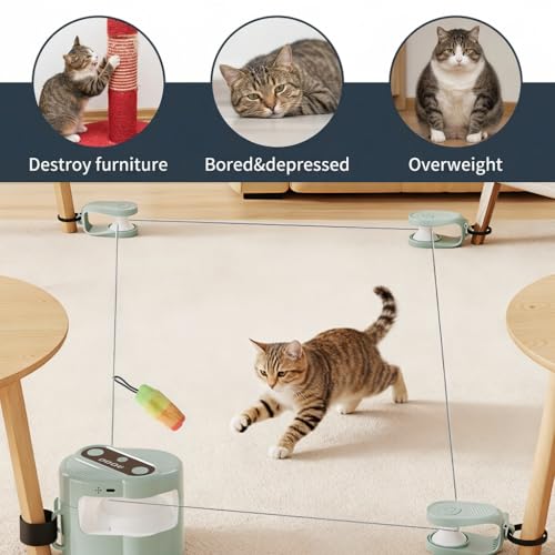 Image of Qpets Interactive Cat Toy with Bird Sound DIY Track Play for Indoor Cats