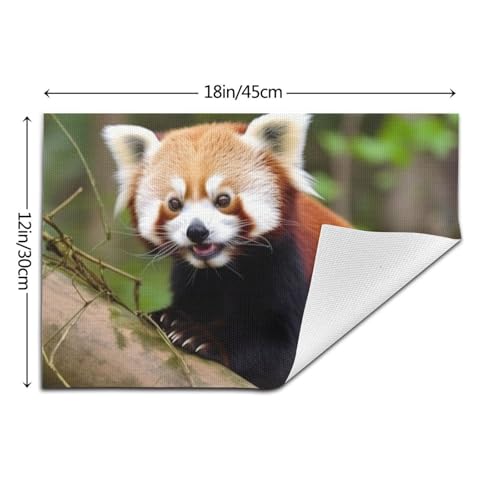 Set de table antidérapant et thermorésistant motif petit panda rouge - 6