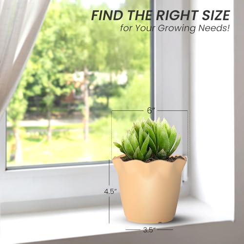 Image of YUCCABE ITALIA SHERA Flower Plastic Flower Pot Unbreakable Round Shape Planter with Drainage Holes Planter Suitable for Home Garden Seedling Indoor and Outdoor (Beige, 6 INCH - 6 Pcs)