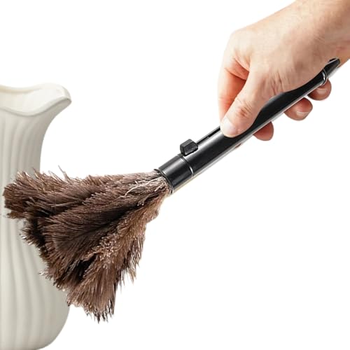 Piumino Retrattile In Piume Di Struzzo | Piumino Per Pulizia Interna Auto,Utensili Per Spolverare Riutilizzabili Ed Estendibili Per La Casa, Per Pulizie Domestiche, Cucina, Ufficio, Auto, Tastiera, Ta