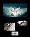 Angels Above Xylophone, Flute, Clarinet, PianoSong Book: Xylophones, Flute, Clarinet, Piano, Bands Instrumentals Duets, Religious, Gospe