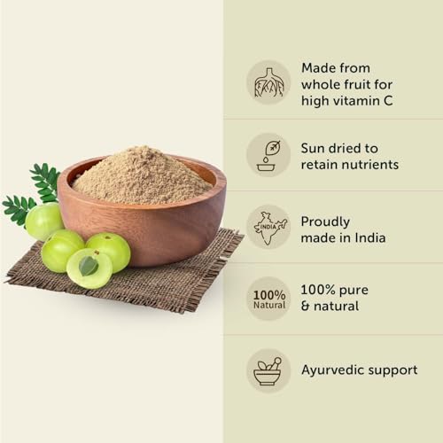 Image of Neuherbs Amla Powder 100g | Indian Gooseberry Powder for Hair Growth, Glowing Skin & Daily Wellness | Rich in Antioxidants | 100% Pure & Natural