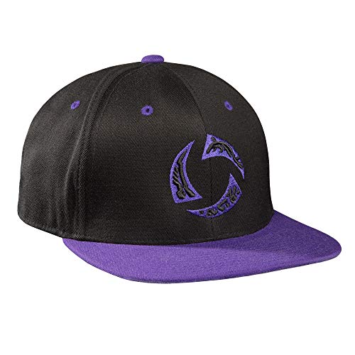 JINX Heroes of The Storm Enter Nexus Snapback Baseball Hat, Black/Purple, One Size