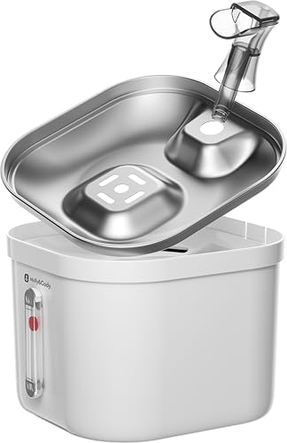 Molly&Cody Spring Trinkbrunnen für Katzen & Hunde (2L Wasserkapazität, automatischer Wasserspender, Ultra leise Wasserpumpe, sichtbare Wasserstandanzeige, 3-faches Filtersystem, kompakt, Edelstahl)