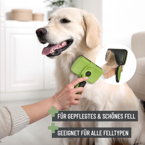 ReaVET Professionelles Hundebürste Fellpflege-Set für Hunde & Katzen I Pflegeset 6-teilig I Hundebürste, Entfilzungsbürste, Unterwollbürste, Flohkamm, Krallenschere & Pflegetasche