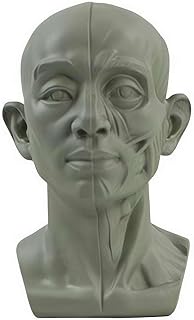Planar Head Model for Artists,Model for Artists Learn Planes of Face,2in1 Original & Planar Face,Learn the Planes of the Head,Human Manikin Head for Medical and Artistic Drawing Sketching Painting