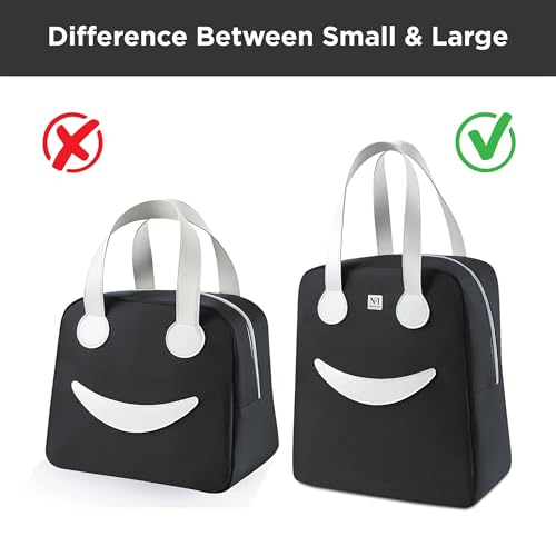 Image of NFI essentials Insulated Lunch Bag for Men Women Large Tiffin Carry Bag Travel Lunch Box Organizer for Office, School, College, Leak-Proof Lunch Cooler Bag