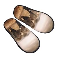 Cotton Slippers Wild Animals Elephants Cotton Sliders Fluffy Slippers For Big Kid Winter Christmas