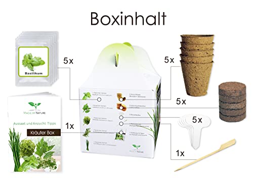 Magic of Nature Kräuter Box CLASSIC Anzuchtset zum Selberzüchten oder zum Verschenken - das perfekte Geschenk für jeden Anlass