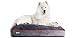 Better World Pets 5-Inch Thick Waterproof Orthopedic Memory Foam Dog Bed with 180 GSM Removable Washable Cover, Medium (36" x 24" x 5") (Dogs 20-60 lbs.), Grey with Spanish Red trim