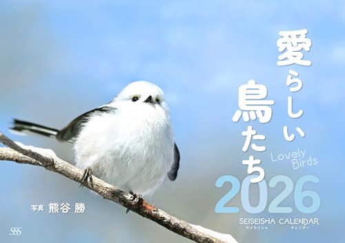 愛らしい鳥たちカレンダー2026