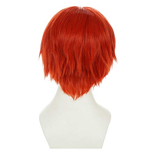 Amazon.co.jp: Fate/stay night 衛宮士郎/暗殺教室 赤羽 業 コスプレ