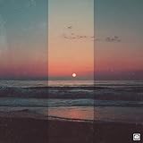 Future Groove Garden