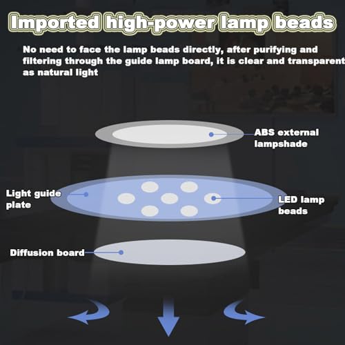 Lampe d'examen gynécologique LED mobile réglable en hauteur