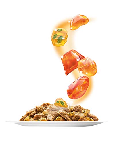 Felix Sensations, Katzennassfutter, Vitamine & Omega 6 I Adult I 4er Pack (4 x 24 x 100 g) – Ansicht 3