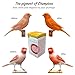 CéDé Carored Bird Food 100g, Rich in Protein, Ideal for Canaries, Flamingos and Cardinals, with Canthaxanthin to Enhance the Red Color, Treats and Nutrition for Birds, Canary Food